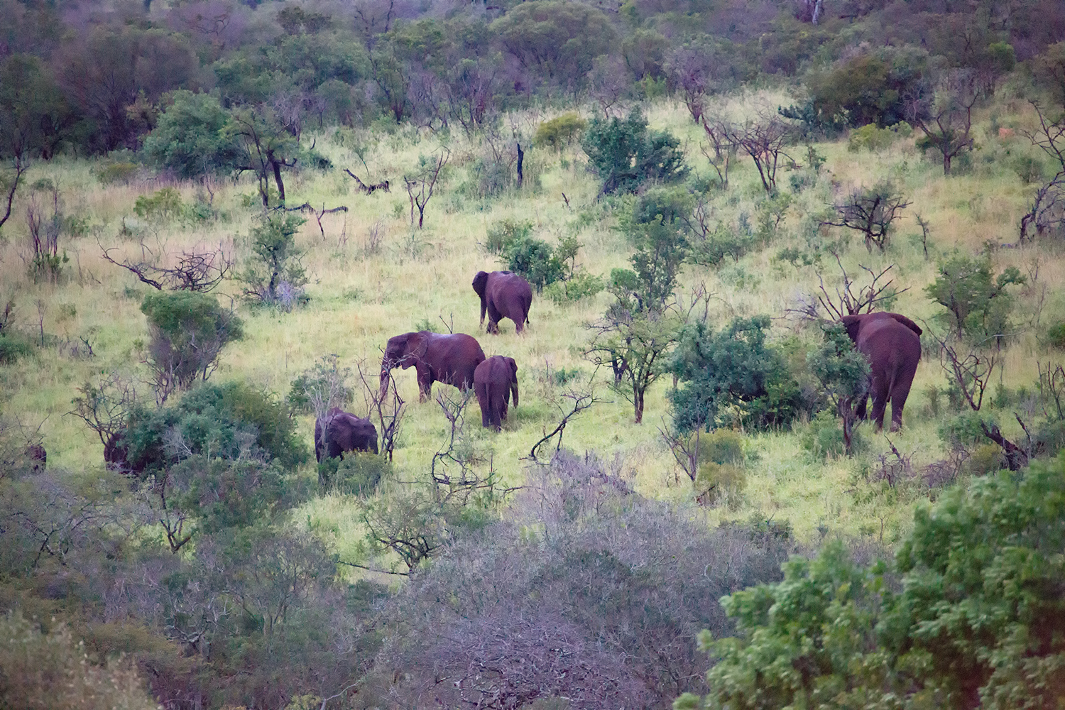 Visit in the early morning