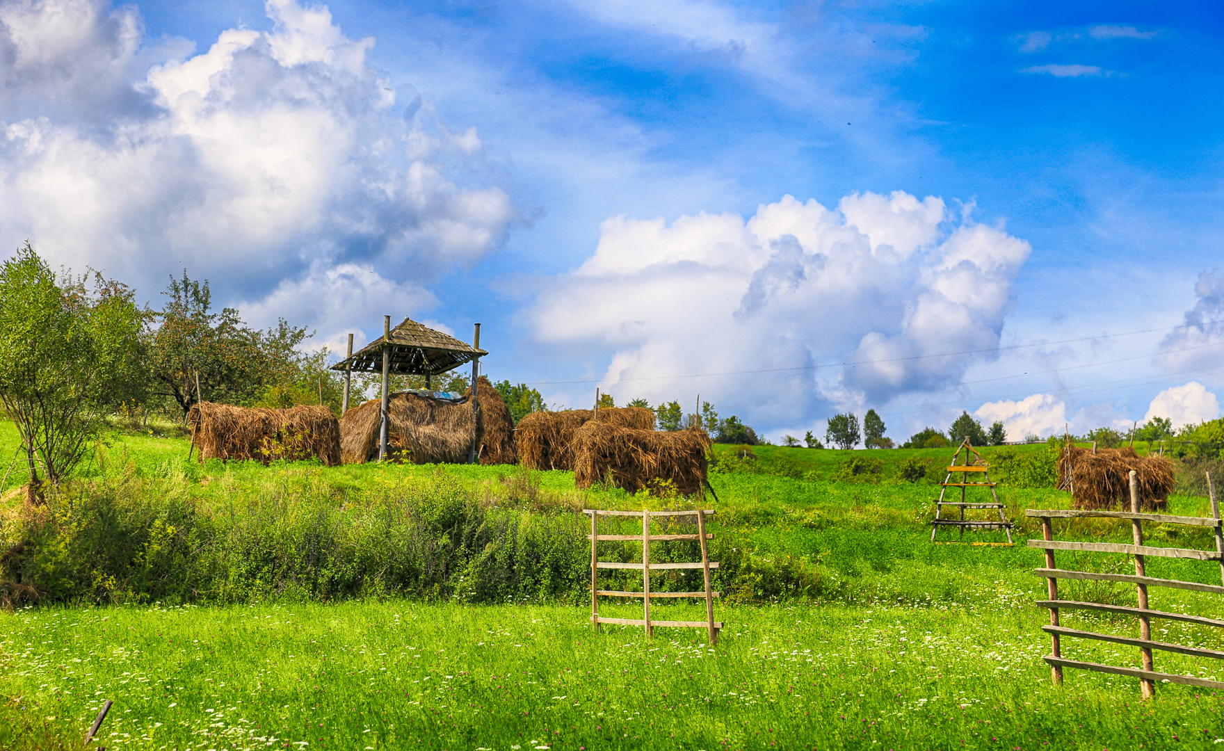 Visit Maramures