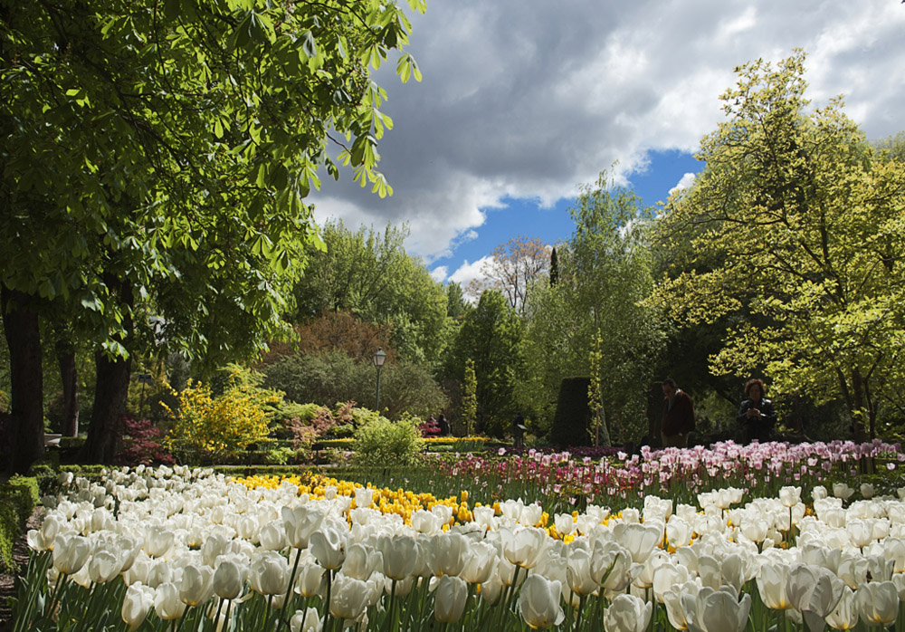 Visita al Jardín Botánico ( Madrid ) - I