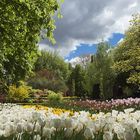 Visita al Jardín Botánico ( Madrid ) - I