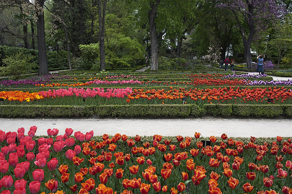 Visita al Jardín Botánico ( Madrid ) - VII