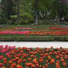 Visita al Jardín Botánico ( Madrid ) - VII