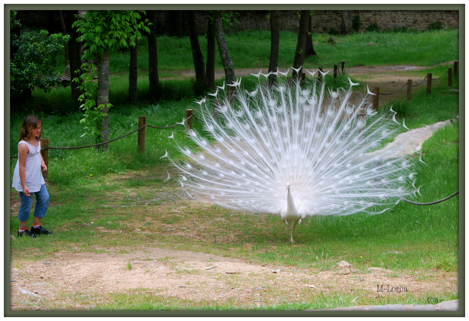 visita al parque los pinos plasencia nº 2 (sin r.