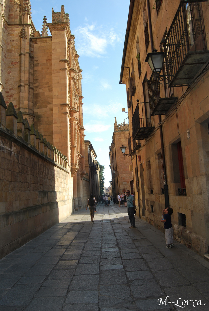 visitando    salamanca