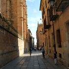 visitando    salamanca