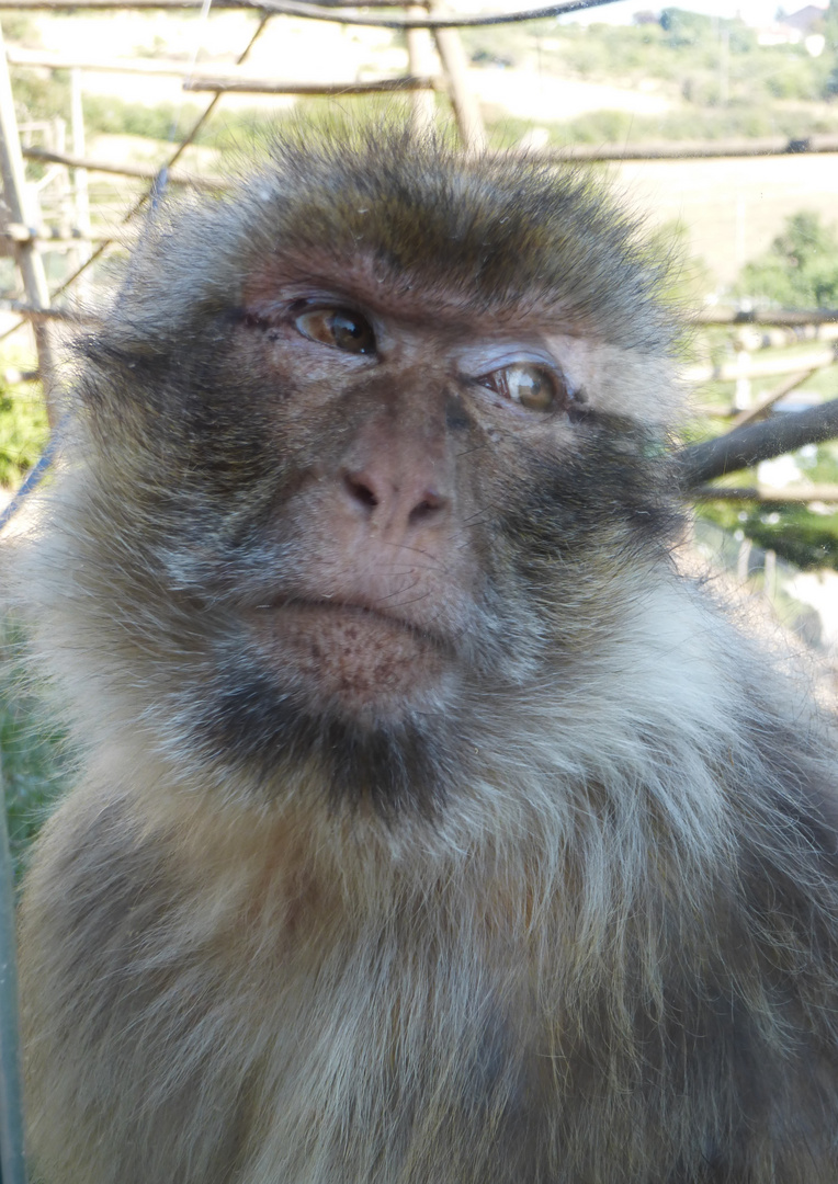 VISITE AU ZOO