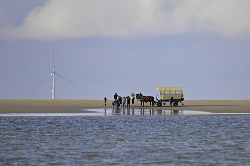 Visite auf der Sandbank mit 2 PS