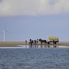 Visite auf der Sandbank mit 2 PS