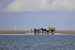 Visite auf der Sandbank mit 2 PS