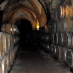 VISITE DES CAVES DE LA REINE JEANNE ARBOIS