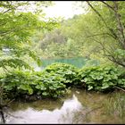 Visite des Lacs de PLITVICE (Croatie)