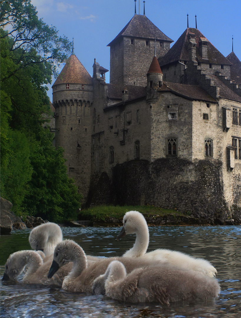 Visite familiale au château