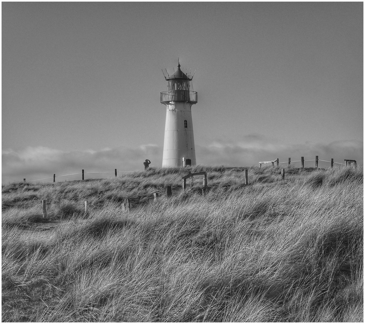 Visitor at the lighthouse