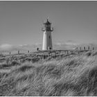 Visitor at the lighthouse