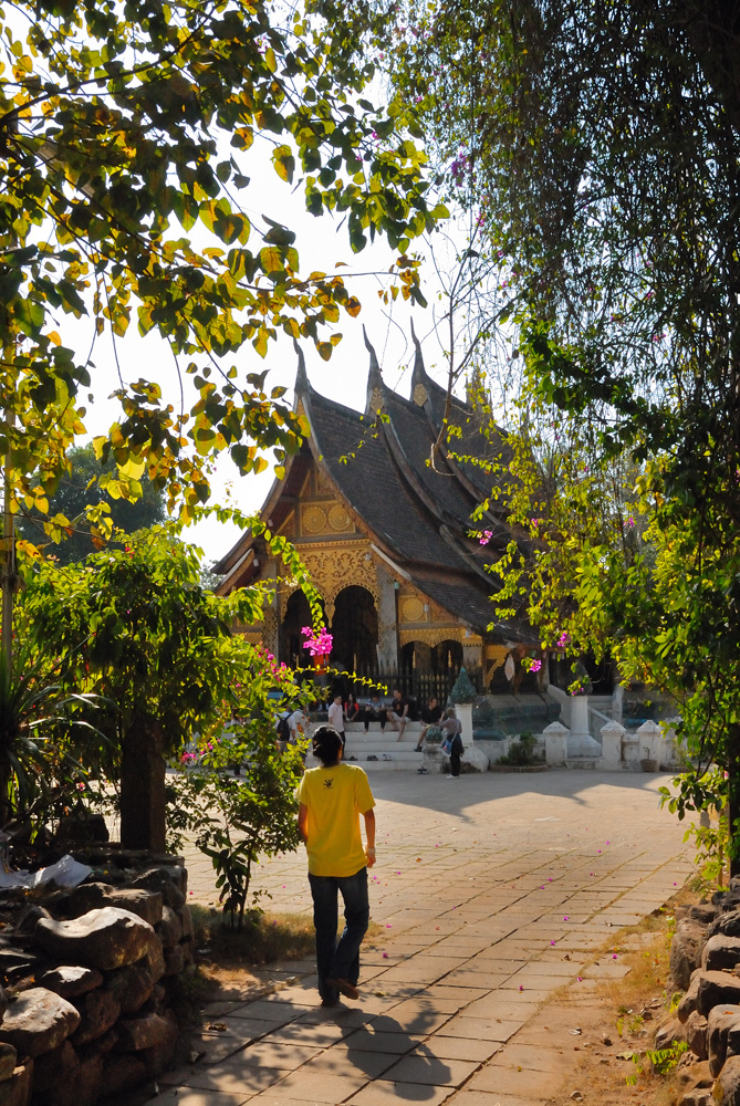 Visitor at Wat Xieng Thong in Luang Prabang