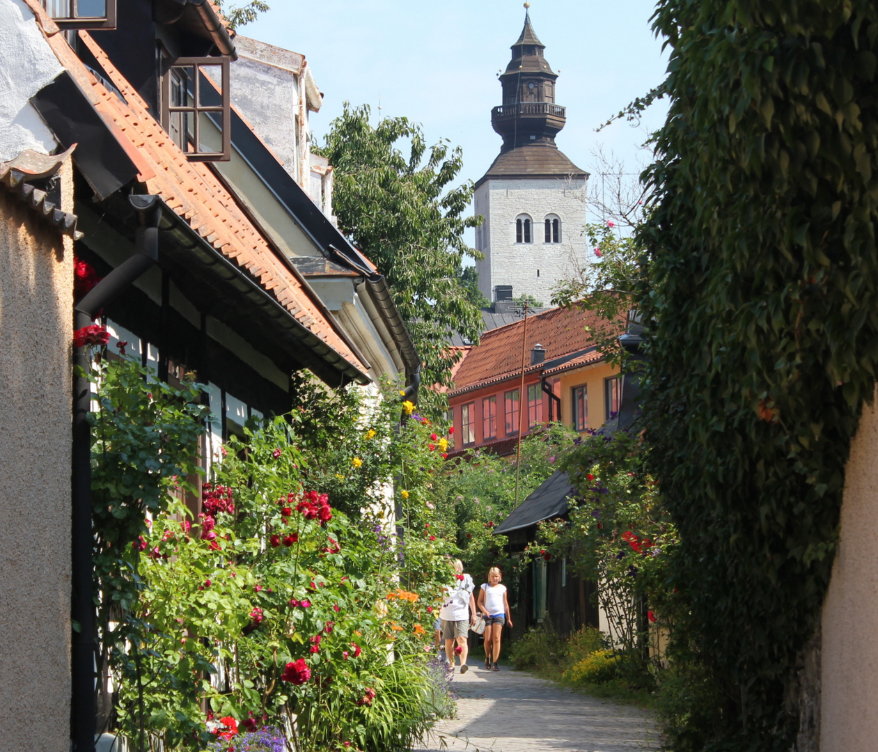 Vispy auf Gotland