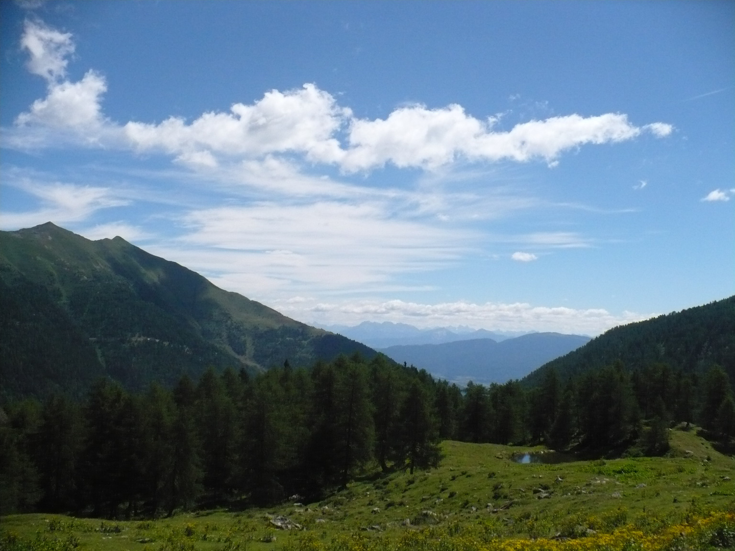 vista da Malga Preghena