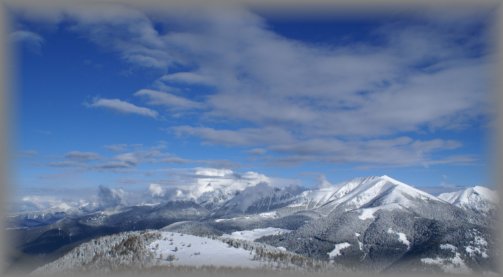 Vista dal Doss Di Costalta Alt 1955 Trentino