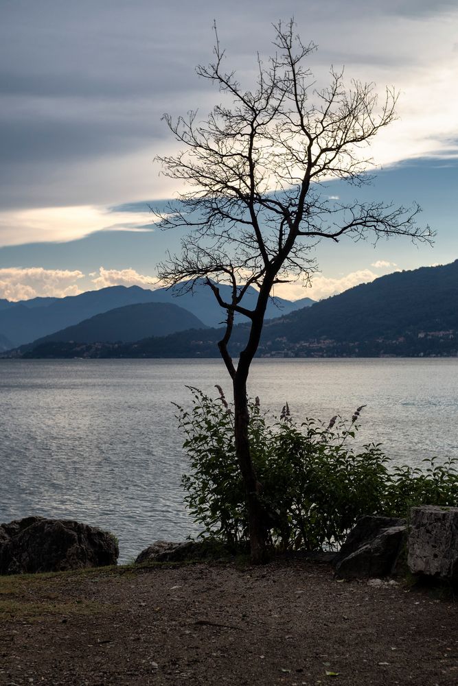 Vista dal parco dell fornaci