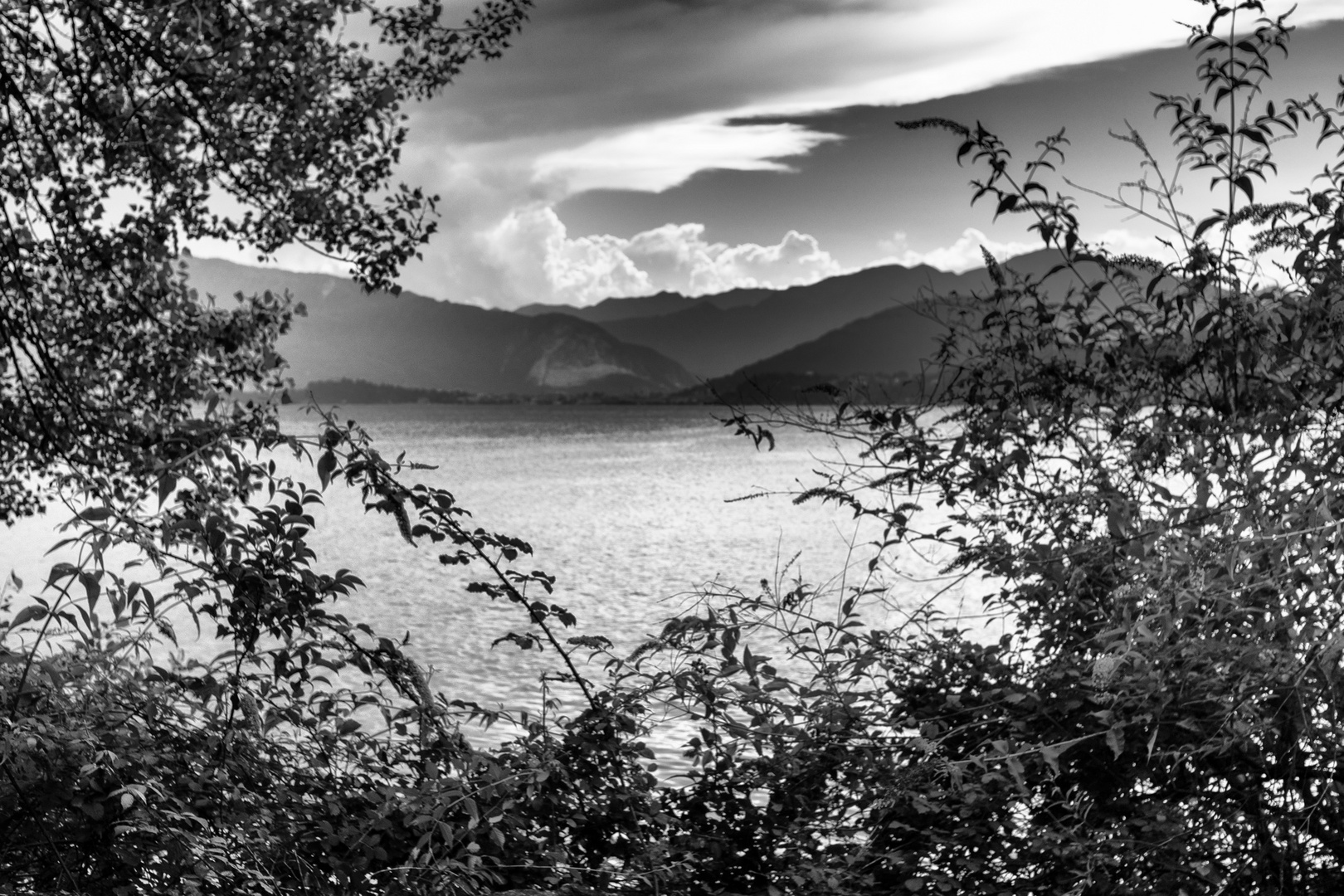 Vista dal parco delle fornaci