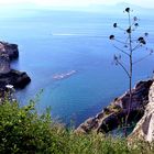 vista dal Parco Virgiliano - Posillipo