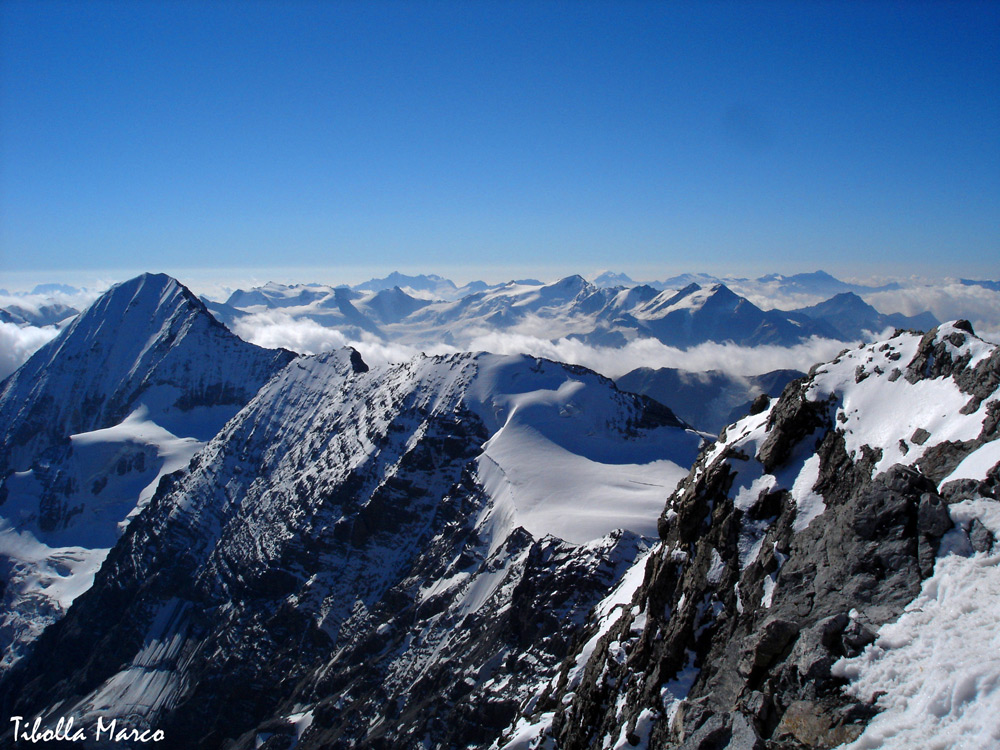 Vista dal re dell'Alto Adige "Ortles 3905 mt"