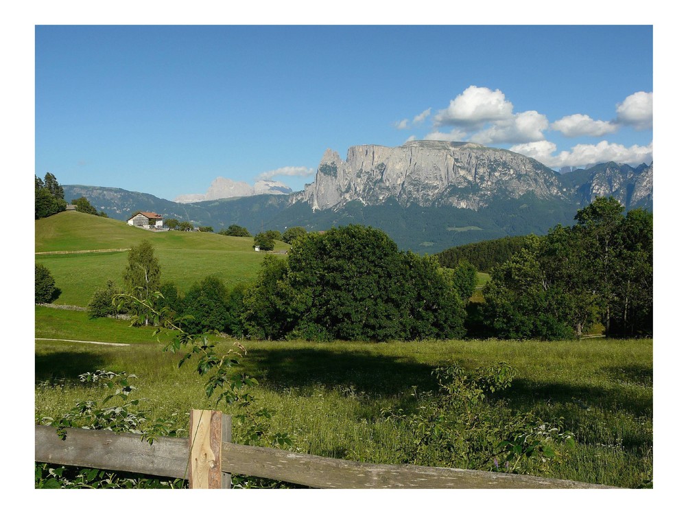 Vista dal Renon allo Sciliar