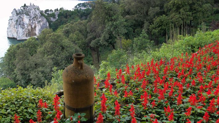 Vista dal vecchio castello (2)