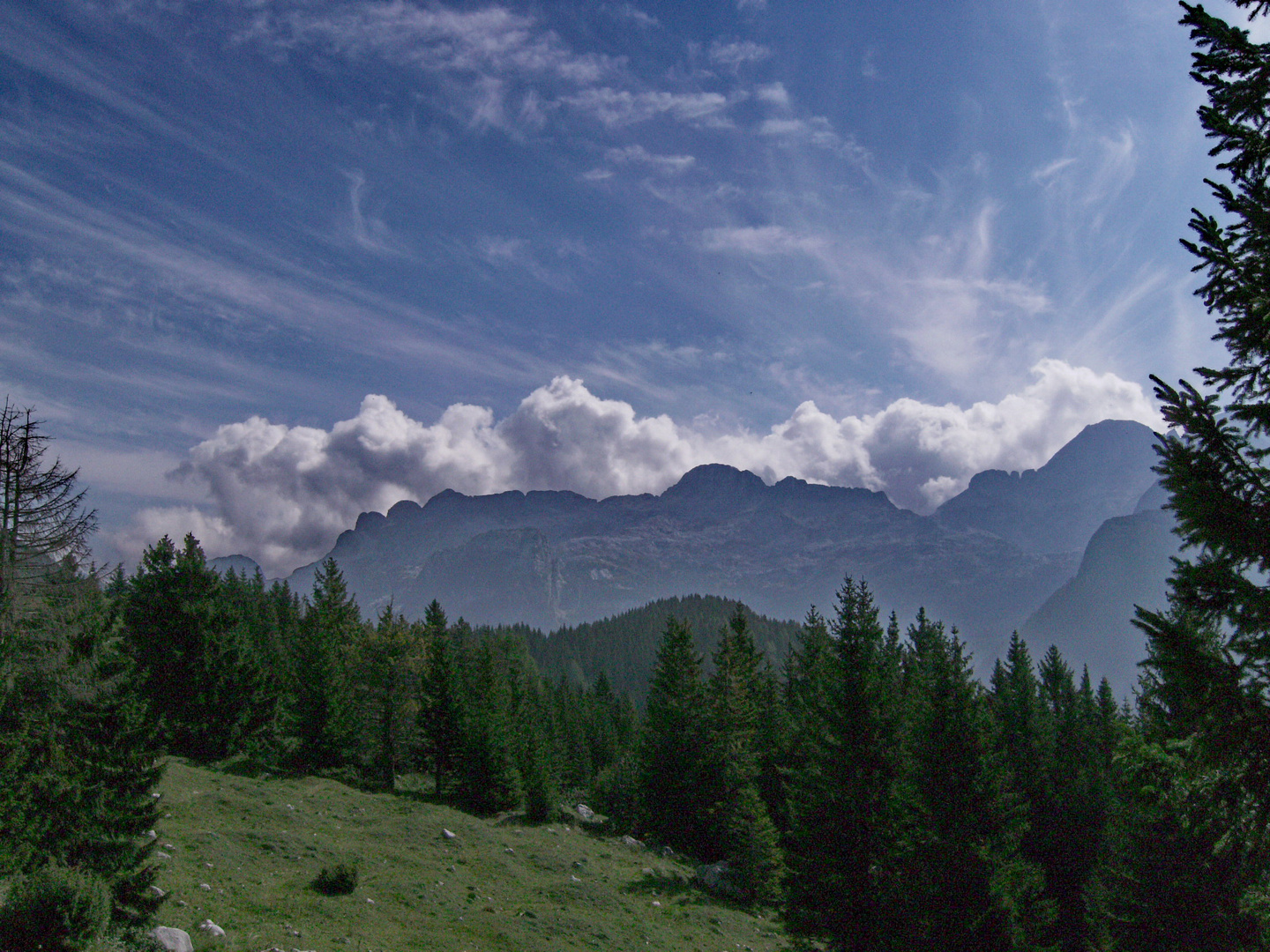 Vista dall' Altopiano del Montasio