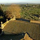 vista dalla torre 3