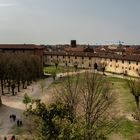 Vista dalla torre del Bramante