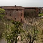 Vista dalla torre del Bramante