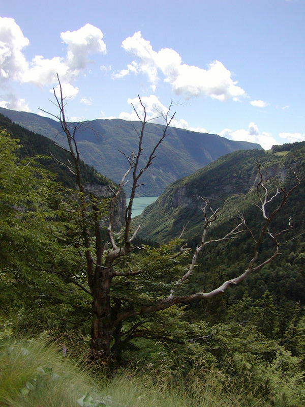 vista dall'alto