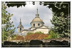 Vista de El Escorial entre los arboles