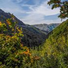 Vista de Las Fargas del Eume