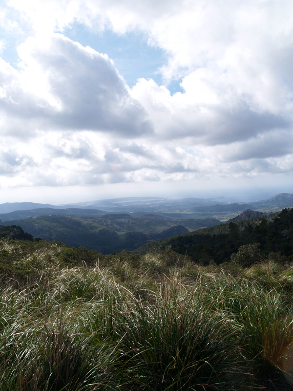 Vista de Pájaro