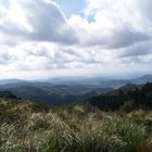 Vista de Pájaro