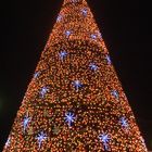 vista del arbol navideño