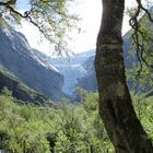 Vista del Glaciar Briksdal I