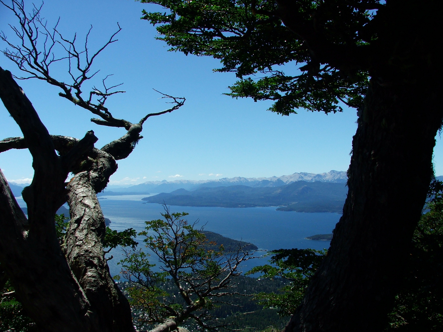 Vista del lago