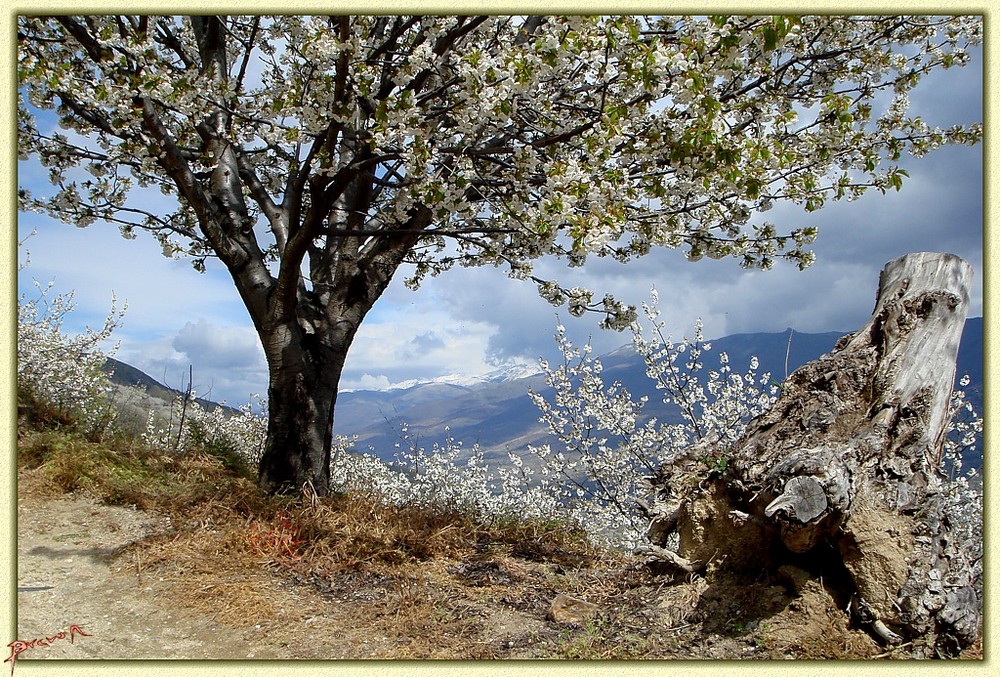 Vista del Valle del Jerte