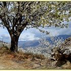 Vista del Valle del Jerte