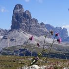 vista delle 3 cime di lavaredo