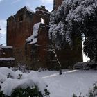 Vista delle torri