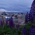 Vista desde ´Cerro La Cruz´ Ciudad Punta Arenas (Chile)