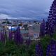 Vista desde Cerro La Cruz Ciudad Punta Arenas (Chile)