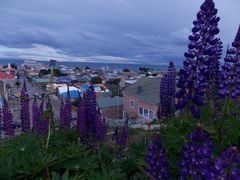 Vista desde ´Cerro La Cruz´ Ciudad Punta Arenas (Chile)