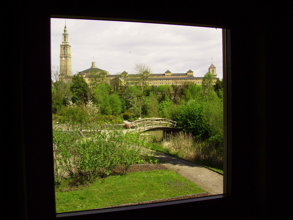 Vista desde el Botánico