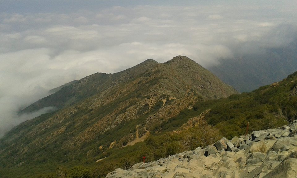 Vista desde el cerro La Campana