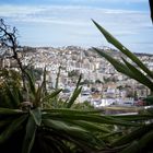 Vista desde Jardín Botánico.